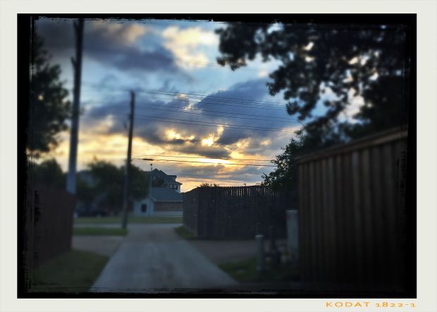 favorite-books-bible