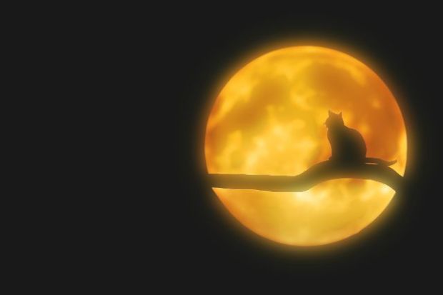 amazing-736877_1280 edit