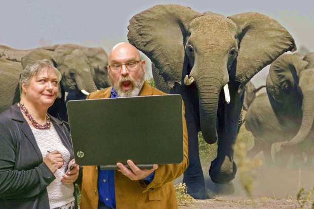 1489803731446_Herding Elephants