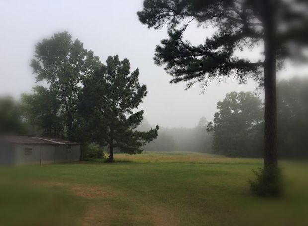 Foggy Morning Breakdown