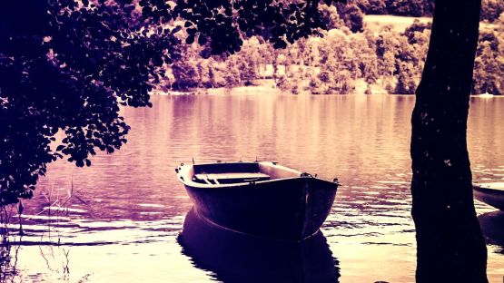 rowing-boat-2754067_1920