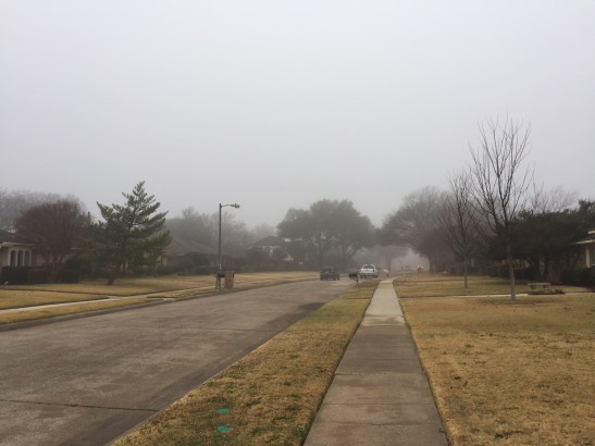 IMG_2969_jpg_0c6rgcj_partial