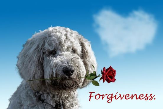 forgiveness