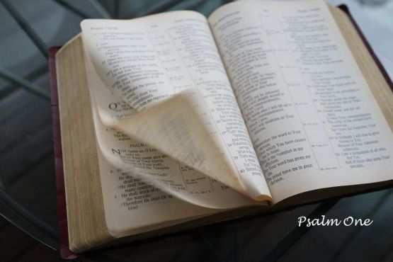Psalm One