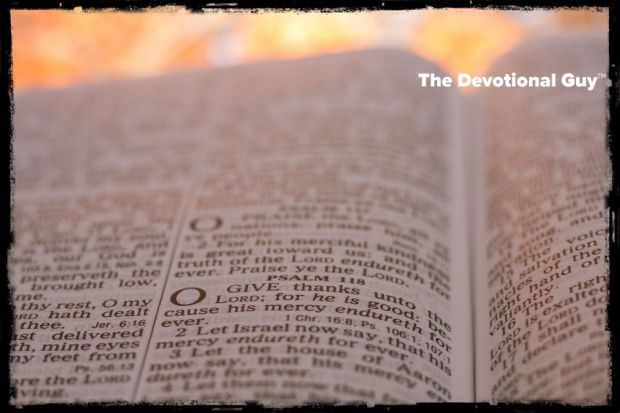 thanksgiving-3738922_1920