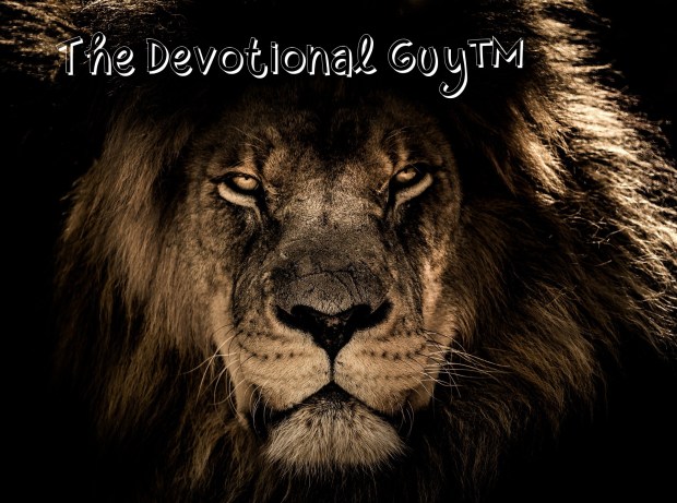 african-lion-2888519_1920 TDG