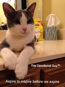 Smoke Bathroom Counter_Edit