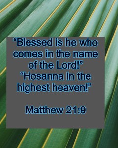 summer-pattern-texture-plant-136740 (1)