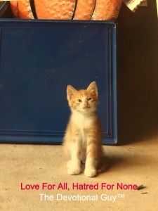 Baby Baby Boss (1) TDG